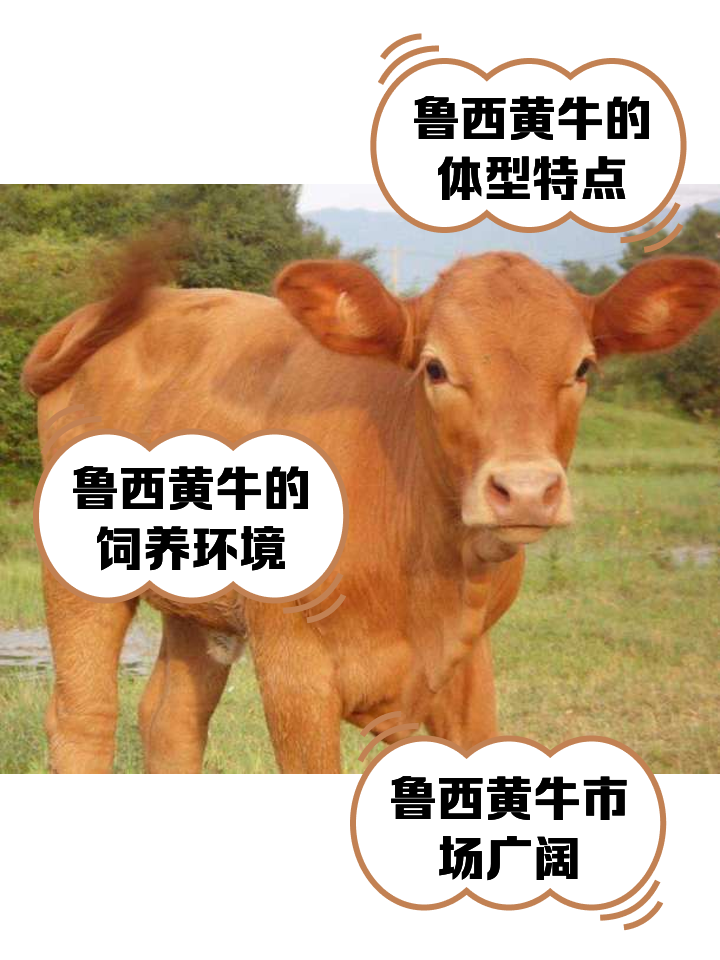 吴忠最新医保取现黄牛方法分析(最方便真实的吴忠医保取现黄牛怎么取方法)